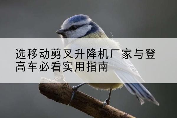 涪城电动升降机厂家-选移动剪叉升降机厂家与登高车必看实用指南