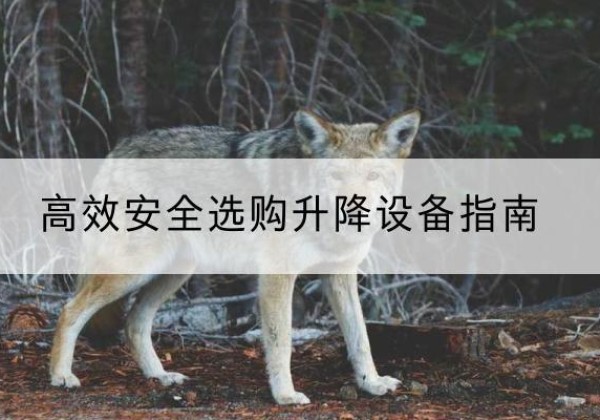 涪城升降货梯厂家推荐-*安全选购升降设备指南